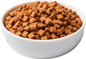 AI generated Top view of dog food in bowl png