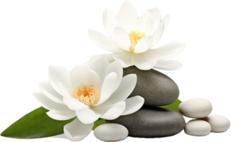 AI generated spa stones white lotus flowers png