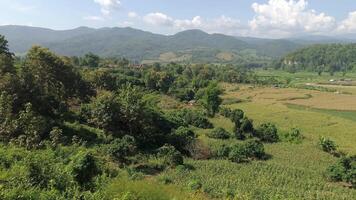 doi inthanon park - majestueus vallei video