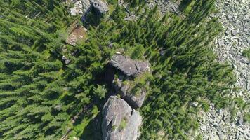 aéreo ver de rocas y bosque video