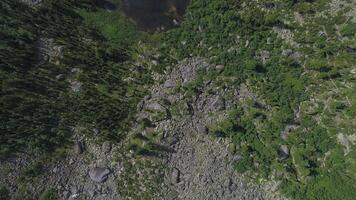 aérien vue de serein forêt Lac video