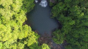 Urwald Wasserfall Aussicht video