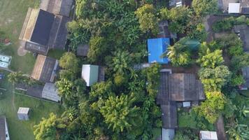 Aerial Journey Above Charming Village video