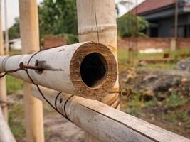 Dry bamboo stems are used as fences using nails and wire photo