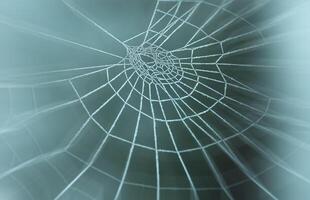 A spider web symbolizing a network photo