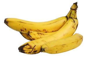 Bunch of bananas. Ripe, yellow bananas without background. photo