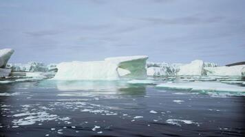 A wide low angle view of melting sea ice floes in still waters of Arctic video