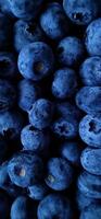 Fresh ripe blueberries healthy eating background photo