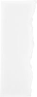 papel rasgado blanco png