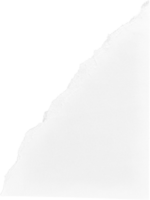 papel rasgado branco png