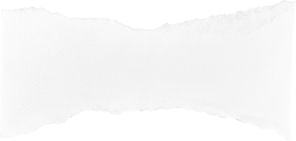 papel rasgado branco png