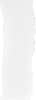 papel rasgado branco png