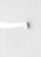 White Torn Paper Background png