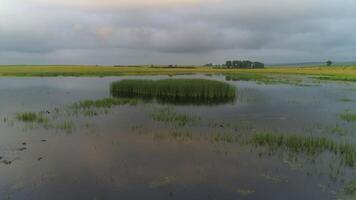 zonsondergang reflectie Aan meer met eenden video