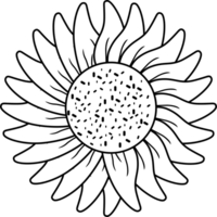 girassol floral botânico flor png