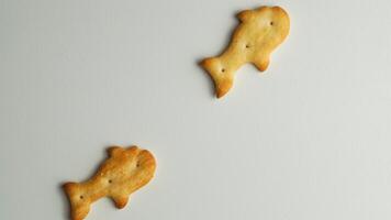 biscuits on a white background photo