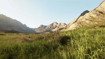 Dry yellow grass on the rocky mountain slope with heavy fog video