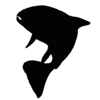 Logo von Tier im Wasser Anruf Fisch png