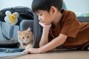 A little Asian boy sits and looks lovingly at an orange kitten. photo