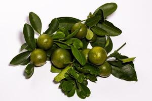 Green kumquat with leaf stalks placed on a white background photo