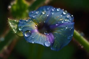 AI generated Morning glory macro. Generate ai photo