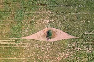 Abstract agriculture composition like earth eye photo