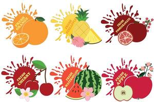 Set of fruits in juice splashes. Fruits splash set of labels. Fruit splashes, drops emblem. Splash and blot collection. vector