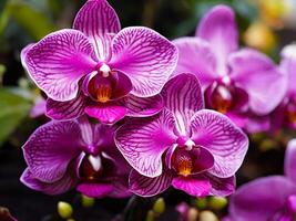 AI generated purple moth orchids in bloom close up photo. AI Generated photo