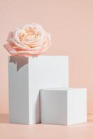 Blank podium with pink roses on pink background. Showcase for product, perfume, jewelry and cosmetic presentation, mockup for design photo