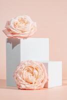 Blank white podium platforms or pedestals with pink background for product display. Empty stands for showing or presenting products. photo