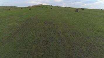 Aerial Autumn Landscape with Green Steppe video