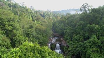 Aerial View of Tropical Waterfall at Sunrise video