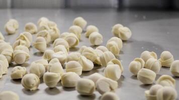 Meat dumplings are being dropped to a tray which is located in a container and is later being removed. Ready-made falling dumplings with meat video