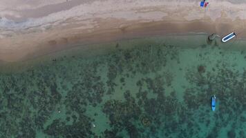 luchtfoto van strand video