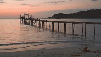 tramonto su Tailandia spiaggia con cane video