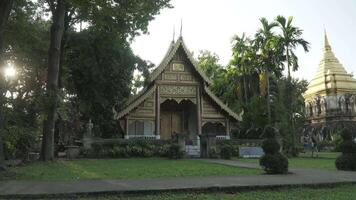 oro tempio di chiang Mai video