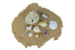pile of shells on beach sand isolated on white background photo