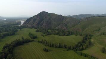 Aerial view of Siberian summer landscape video