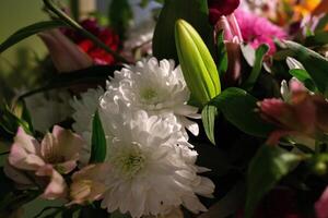 Still life. luxury spring flowers on a black background. color bloom. Low key photo