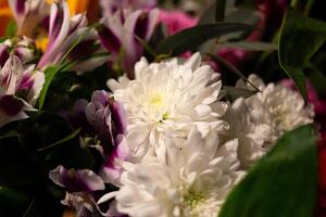 Still life. luxury spring flowers on a black background. color bloom. Low key photo