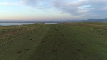 Antenne Aussicht von Herbst Steppe video