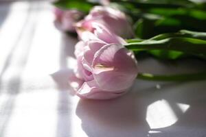 un ramo de flores de hermosa delicado Fresco lila tulipanes mentiras en un blanco tela foto