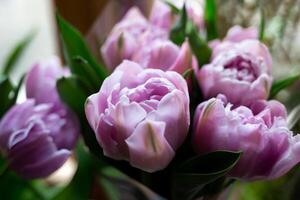 bouquet of beautiful fresh lilac tulips, top view photo