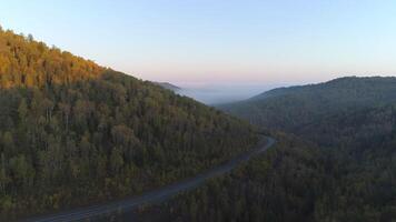 Aerial View of Autumn Forest in Siberian Mountains video