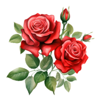 ai généré fleur Rose sur transparent Contexte génératif ai png