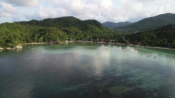 antenne visie van tatoeage baai in koh tao, Thailand video