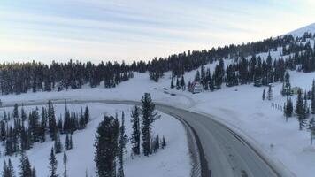 Aerial View of Scenic Road in Ergaki Park video