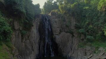 cascata dentro encantador selva video