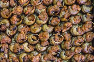 Spanish dish - baked snails in sauce photo