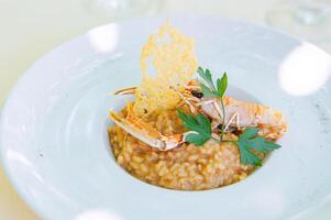 Shrimp risotto served in a white plate photo